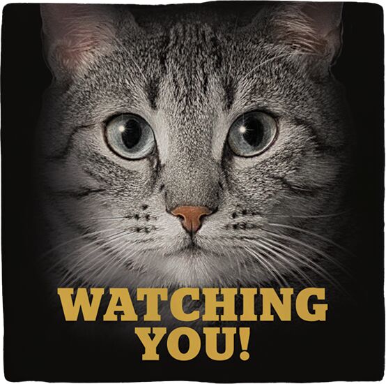 Plenty Gifts Deco Tile Grey Cats Eyes