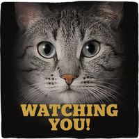 Plenty Gifts Deco Tile Grey Cats Eyes