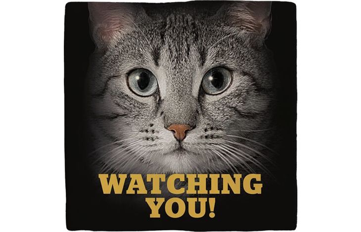 Plenty Gifts Deco Tile Grey Cats Eyes