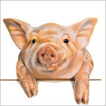 Plenty Gifts Kaart CS Peeking Pig