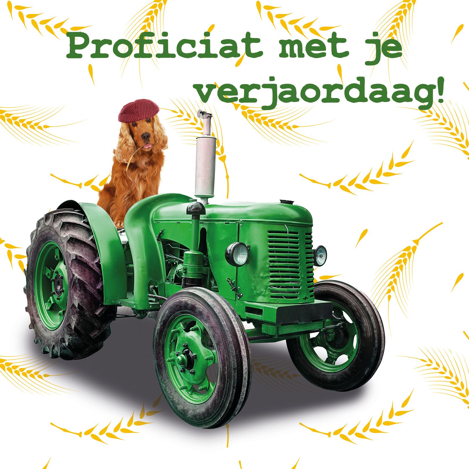 Plenty Gifts Kaart Boer Gerrit