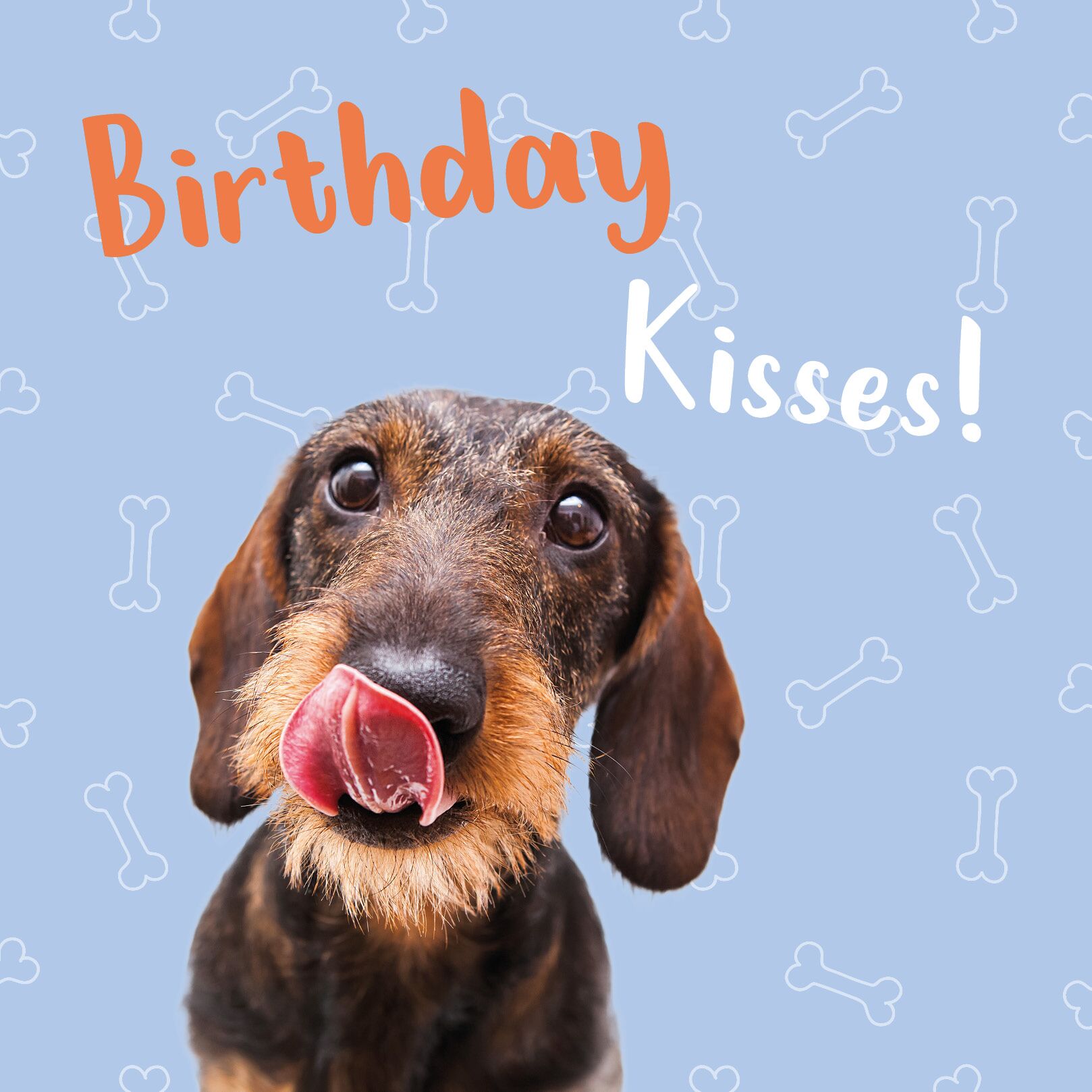 Plenty Gifts Kaart Birthday Kisses Teckel