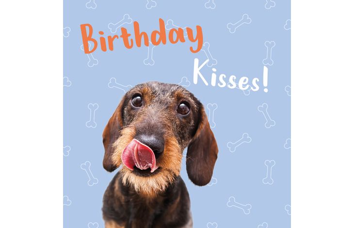 Plenty Gifts Kaart Birthday Kisses Teckel