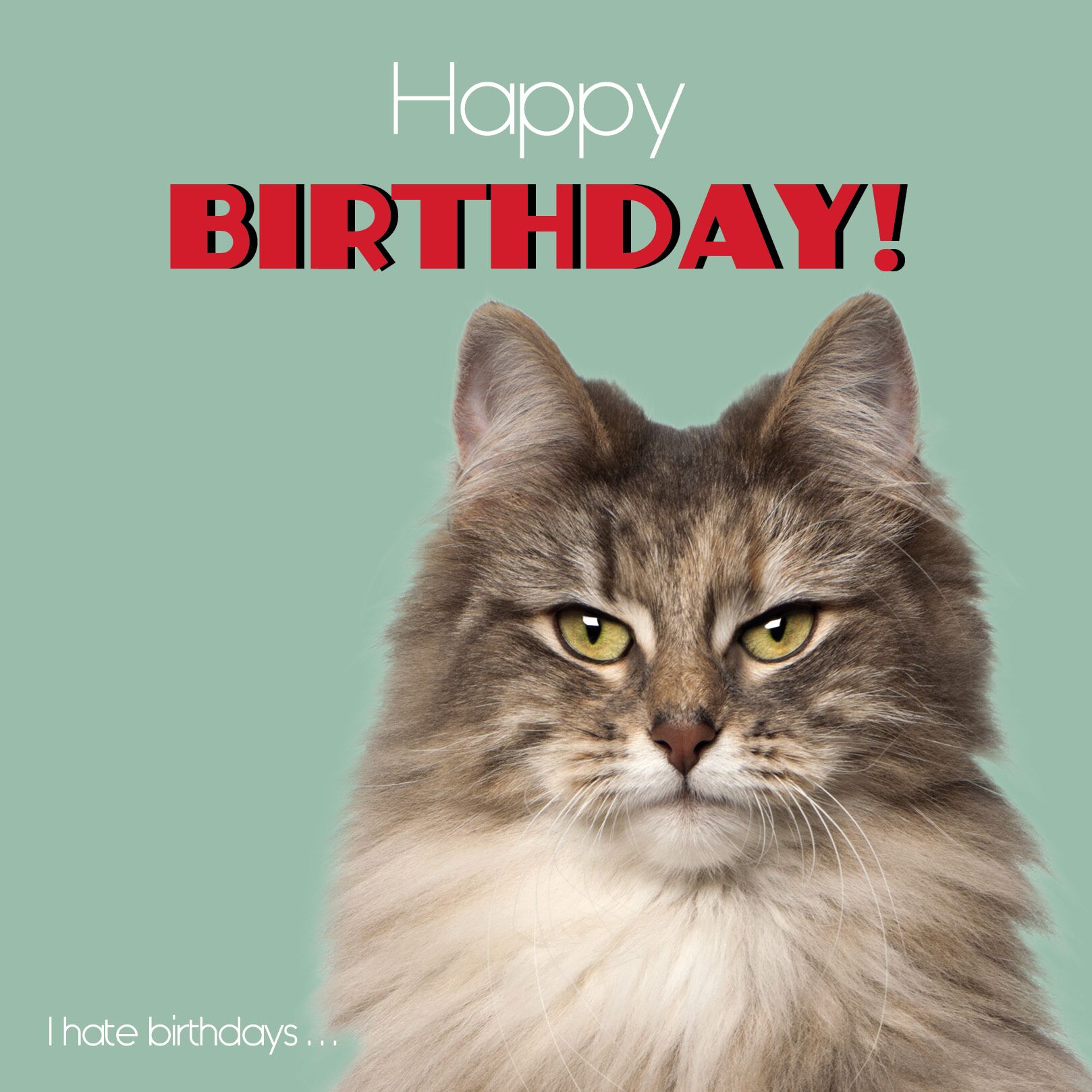 Plenty Gifts Kaart I Hate Birthdays