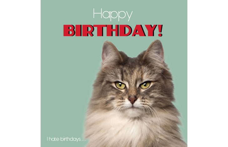 Plenty Gifts Kaart I Hate Birthdays