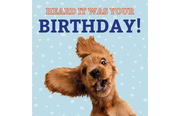 Plenty Gifts Kaart Funny Dog