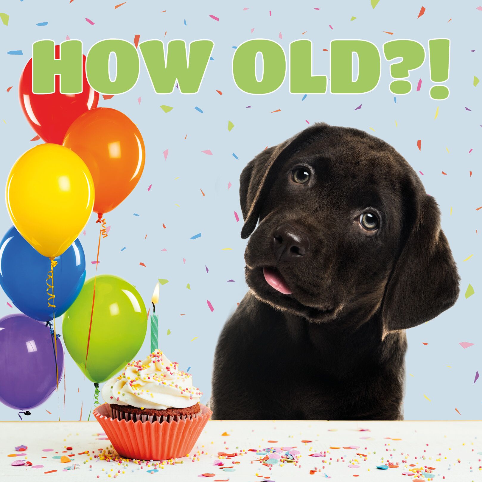 Plenty Gifts Kaart How Old