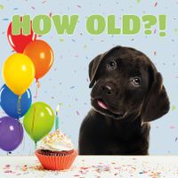 Plenty Gifts Kaart How Old