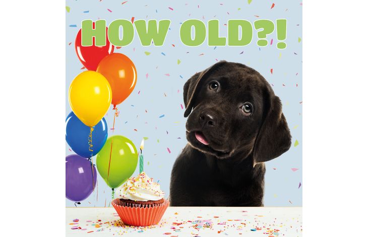 Plenty Gifts Kaart How Old