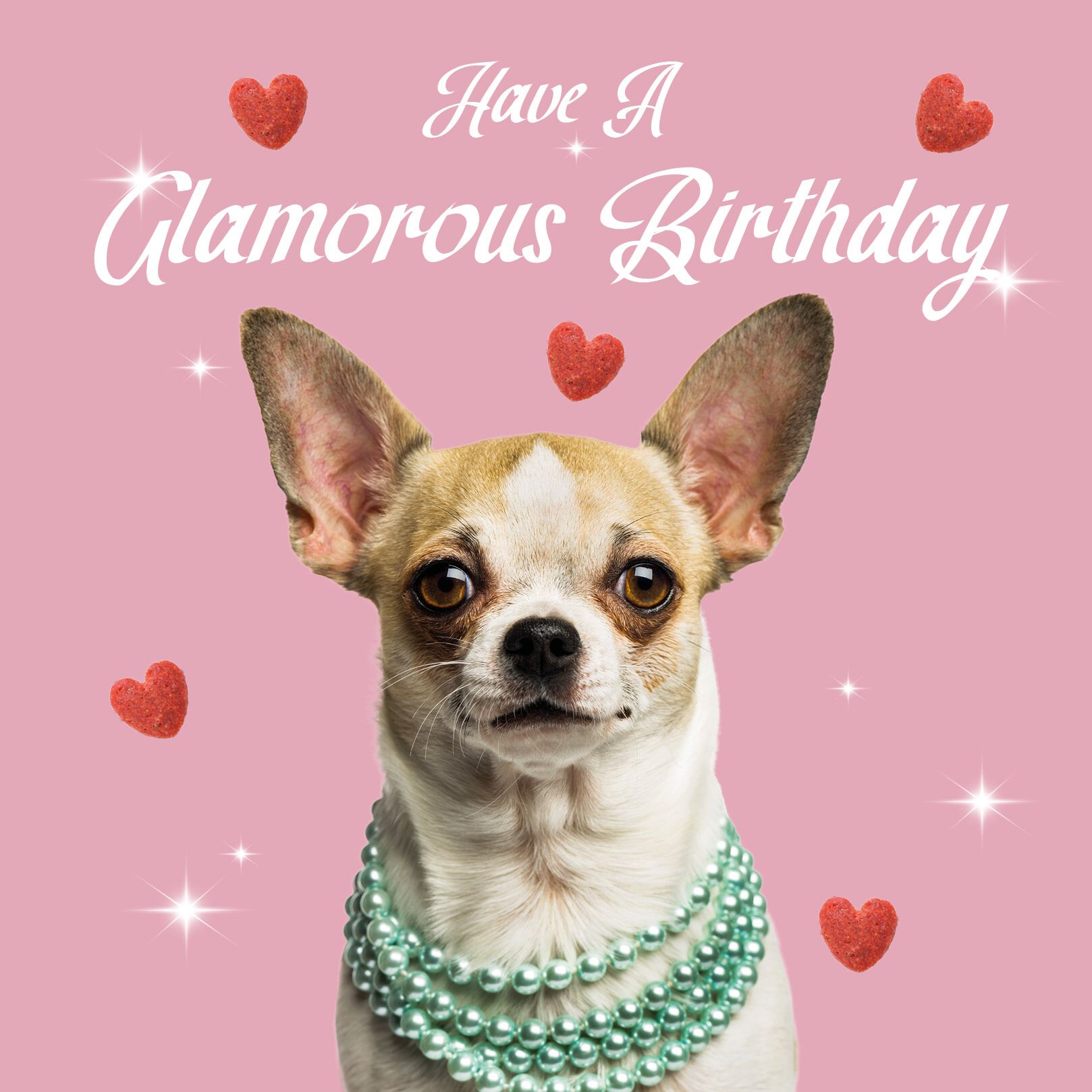 Plenty Gifts Kaart Glamorous Chihuahua