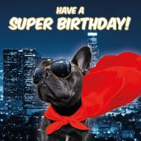 Plenty Gifts Kaart Super Frenchie