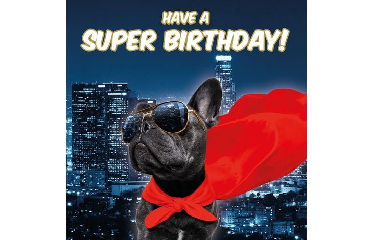 Plenty Gifts Kaart Super Frenchie