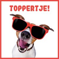 Plenty Gifts Kaart Toppertje