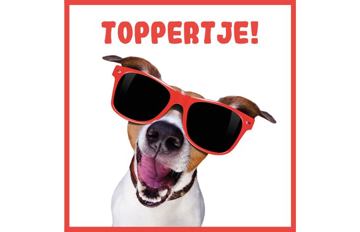 Plenty Gifts Kaart Toppertje