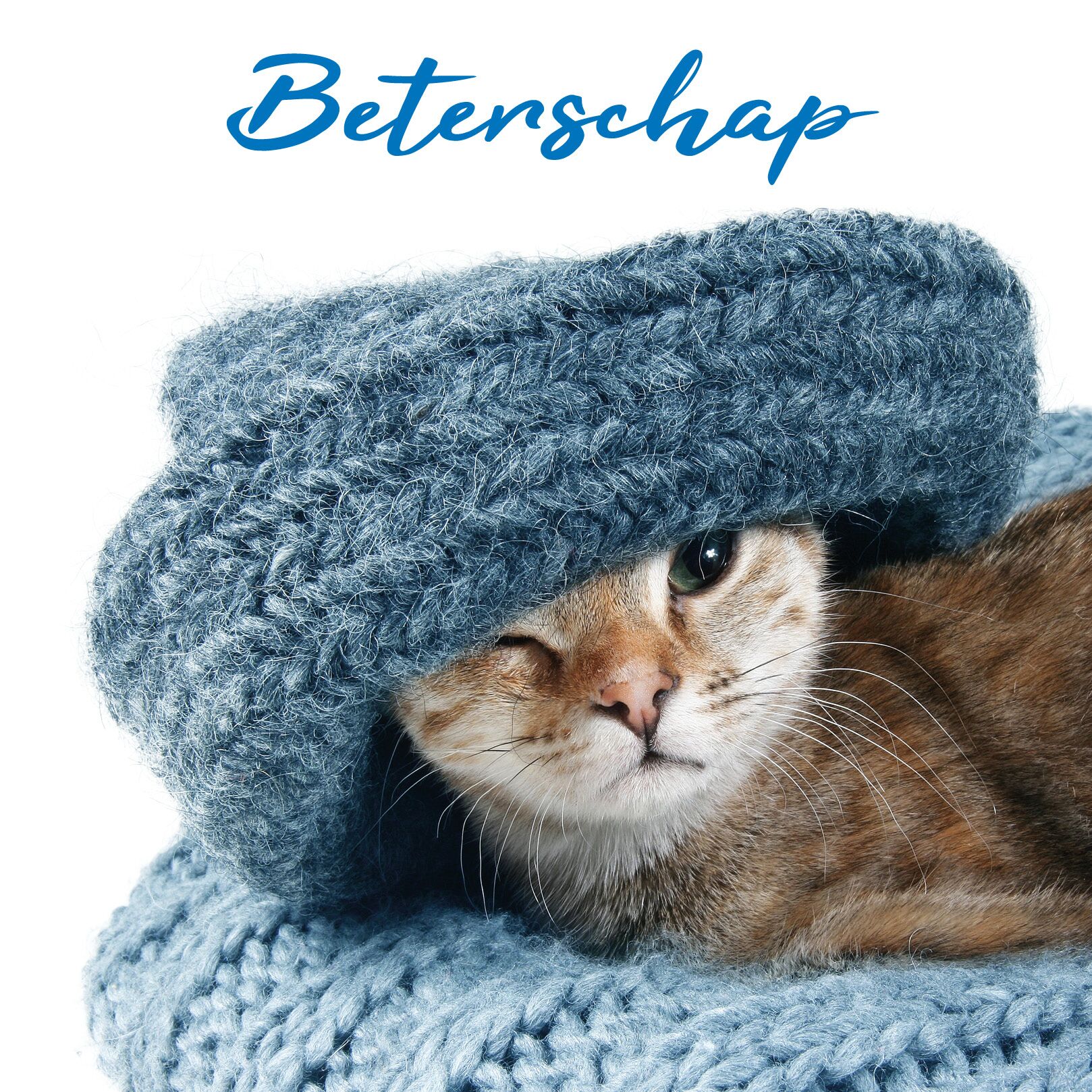 Plenty Gifts Kaart Beterschap Kitten