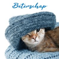 Plenty Gifts Kaart Beterschap Kitten