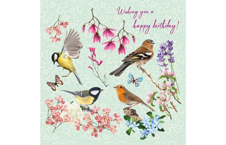 Plenty Gifts Kaart Garden Birds