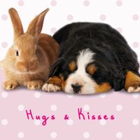 Plenty Gifts Kaart Hugs & Kisses