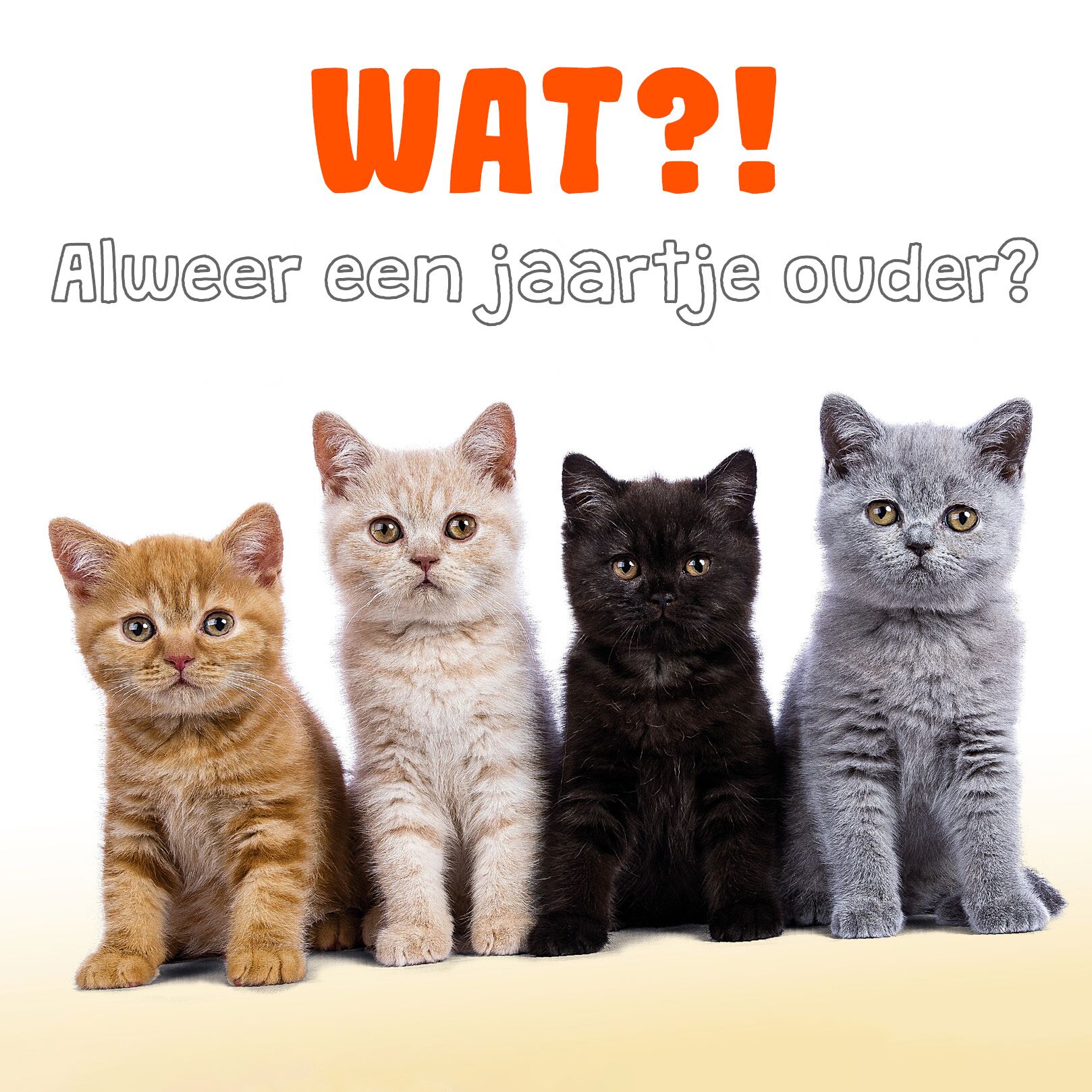 Plenty Gifts Kaart Jaartje Ouder