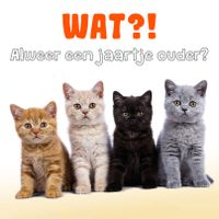 Plenty Gifts Kaart Jaartje Ouder