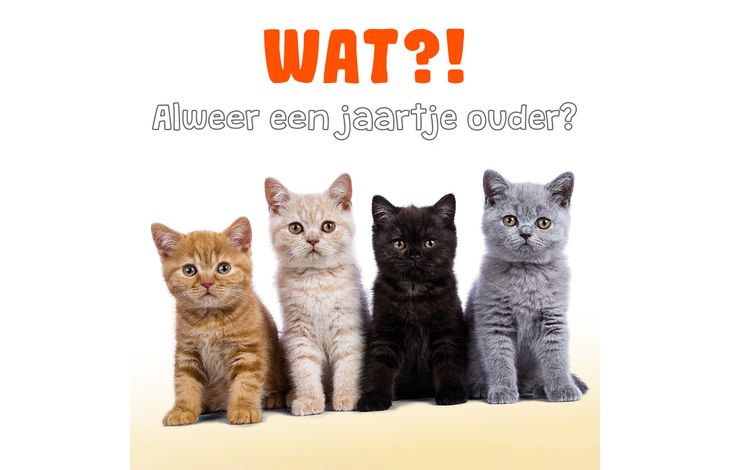 Plenty Gifts Kaart Jaartje Ouder