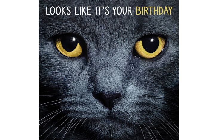 Plenty Gifts Kaart Black Cats Eyes Birthday