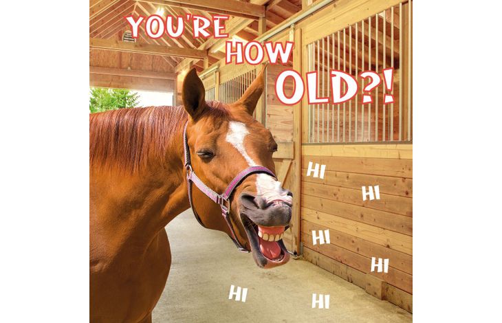 Plenty Gifts Kaart Funny Horse