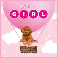 Plenty Gifts Kaart It's A Girl