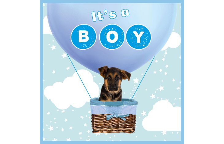 Plenty Gifts Kaart It's A Boy