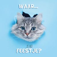 Plenty Gifts Kaart Waar Is Het Feestje?
