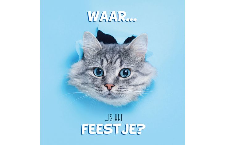 Plenty Gifts Kaart Waar Is Het Feestje?