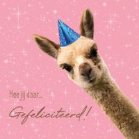 Plenty Gifts Kaart Alpaca Gefeliciteerd