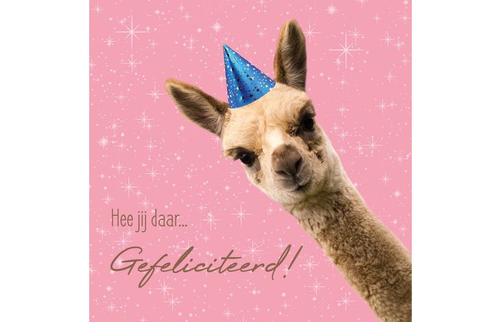 Plenty Gifts Kaart Alpaca Gefeliciteerd