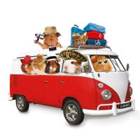 Plenty Gifts Kaart Summer Holiday