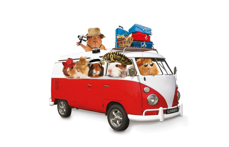 Plenty Gifts Kaart Summer Holiday