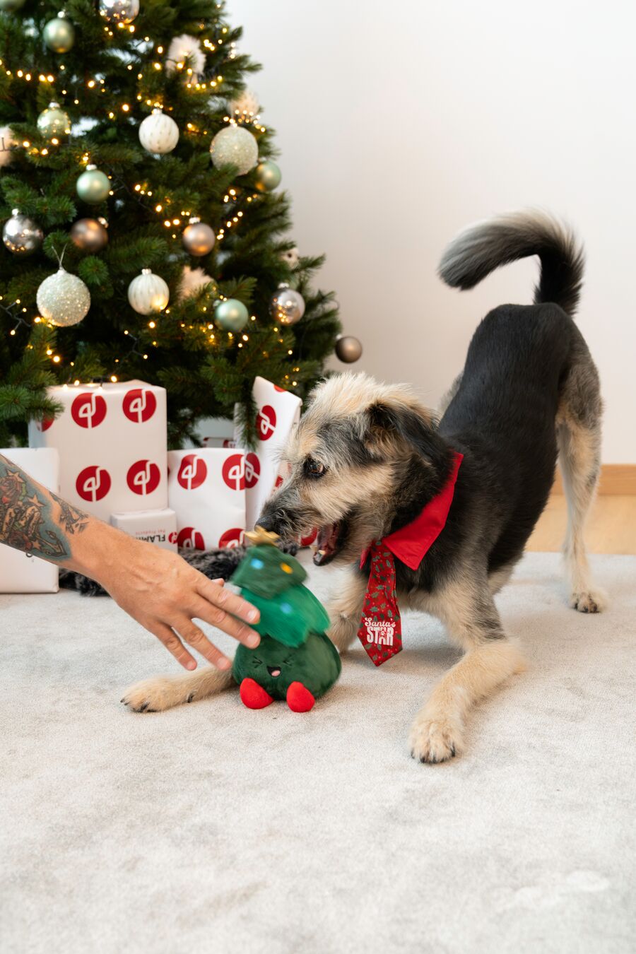 Plenty Gifts Stropdas Kerst Santa's Star Holly Hond M