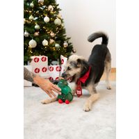 Plenty Gifts Stropdas Kerst Santa's Star Holly Hond M