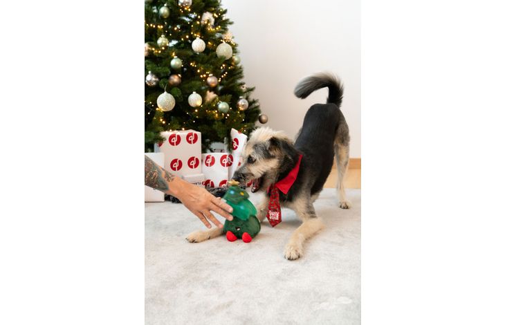 Plenty Gifts Stropdas Kerst Santa's Star Holly Hond M