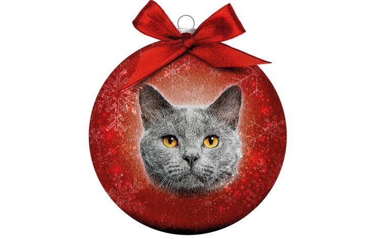 Plenty Gifts Bauble Xmas Frosted Cat Grey