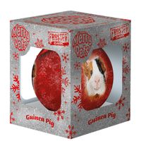Plenty Gifts Bauble Xmas Frosted Guinea Pig