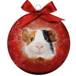 Bauble Xmas Frosted Guinea Pig
