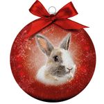 Bauble Xmas Frosted Rabbit