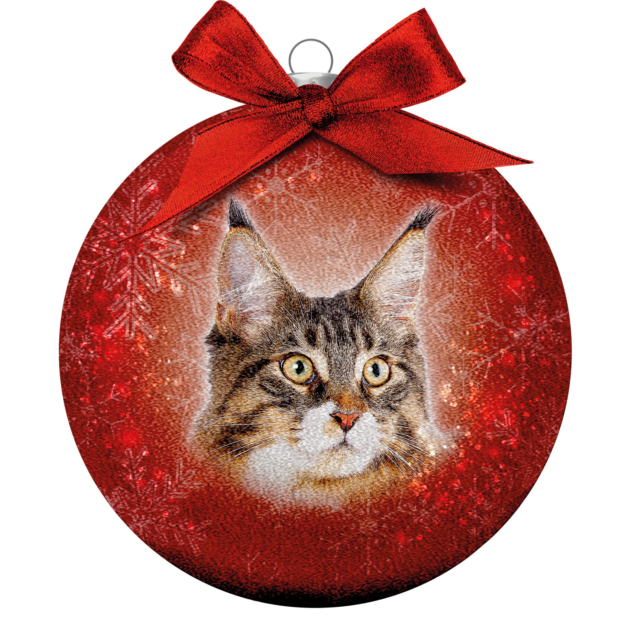 Plenty Gifts Bauble Xmas Frosted Main Coon