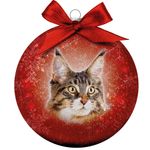 Bauble Xmas Frosted Main Coon