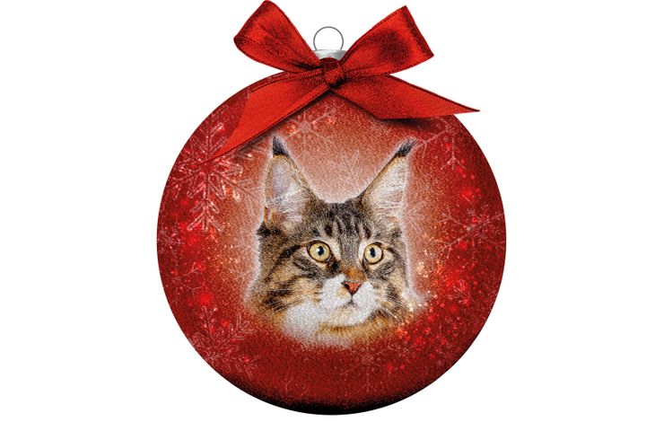 Plenty Gifts Bauble Xmas Frosted Main Coon