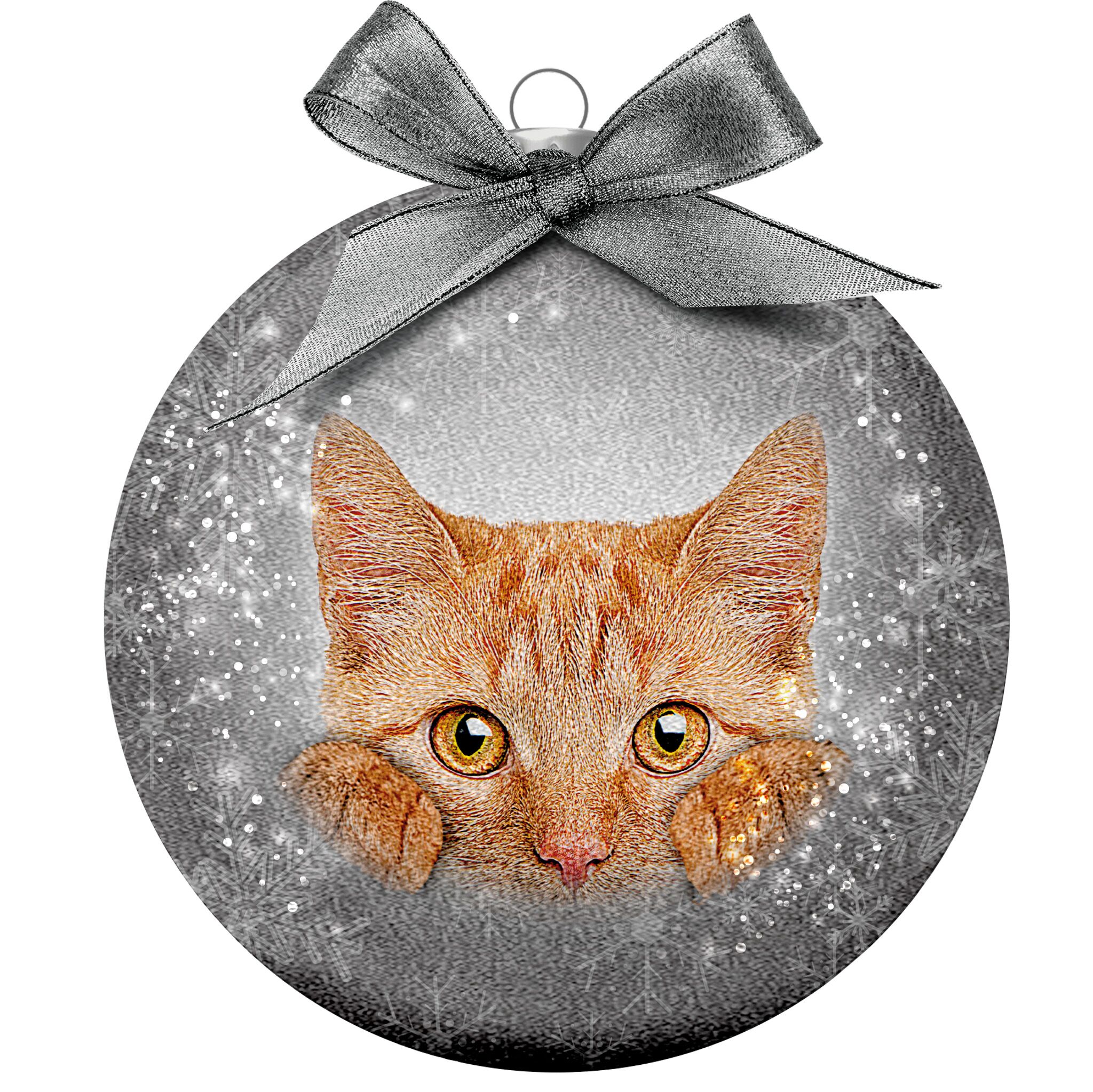 Plenty Gifts Bauble Xmas Frosted Red Cat