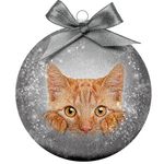 Bauble Xmas Frosted Red Cat