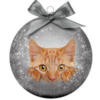 Plenty Gifts Bauble Xmas Frosted Red Cat