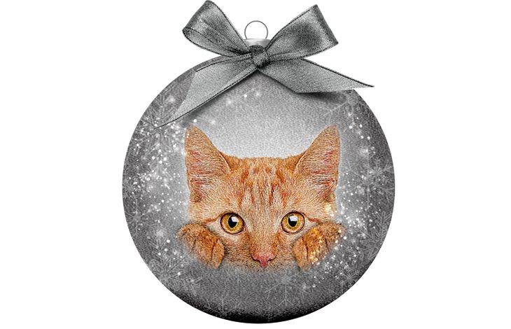 Plenty Gifts Bauble Xmas Frosted Red Cat