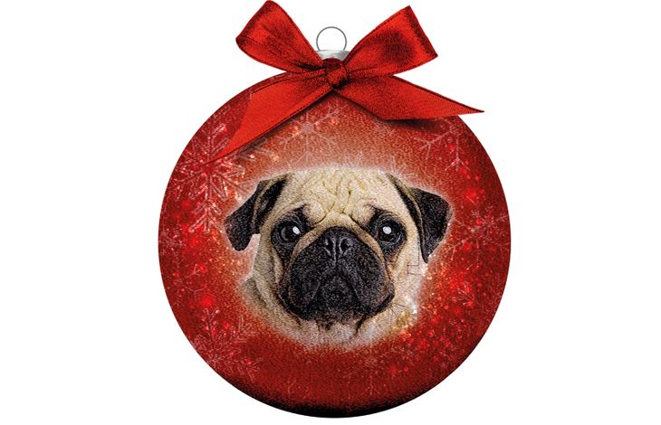 Plenty Gifts Bauble Xmas Frosted Pug